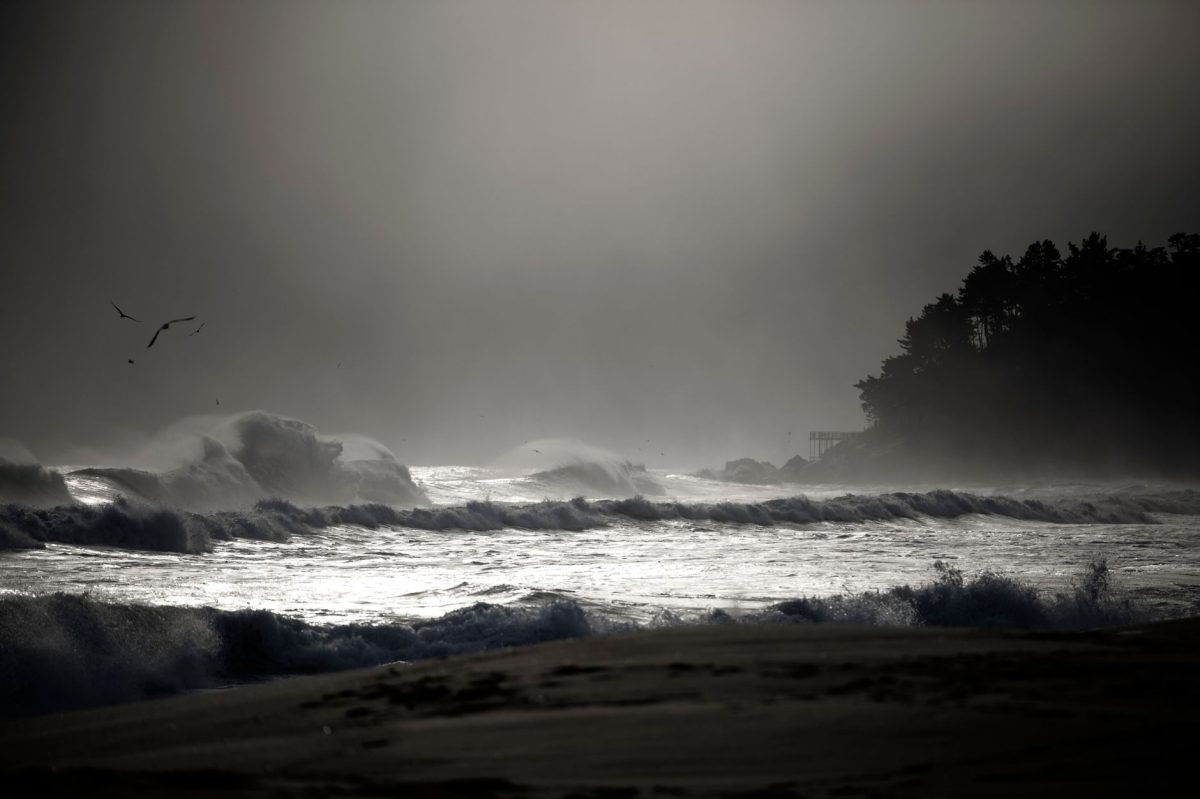Typhoon Dolphin Hits China's Eastern Coast, Over 1 Million Evacuated