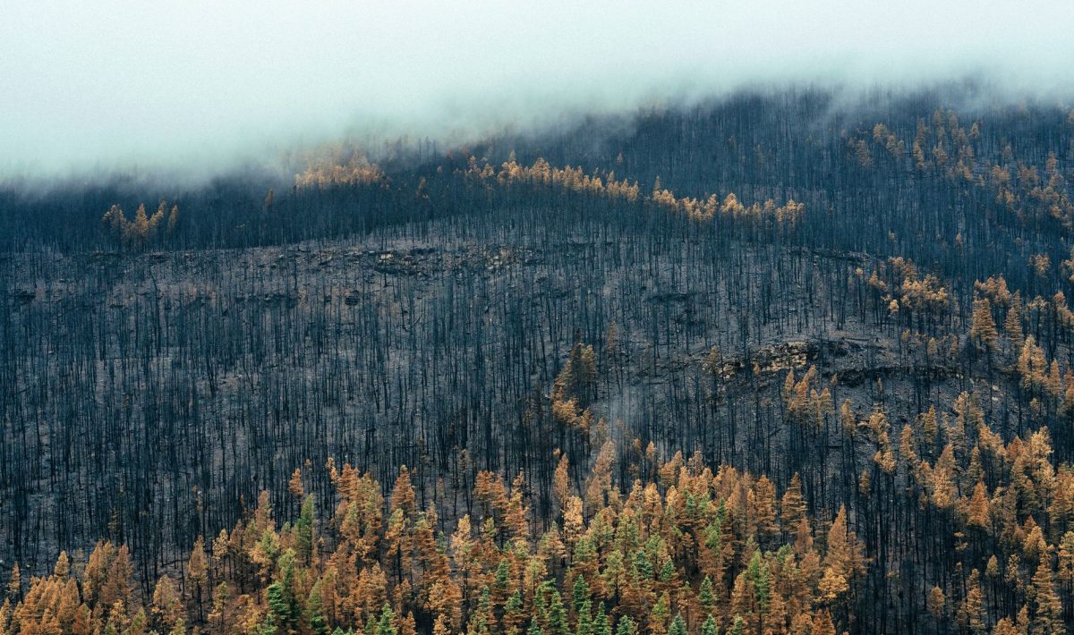 Canada Wildfire Rages Out of Control in British Columbia, Spreads 53 Sq Miles