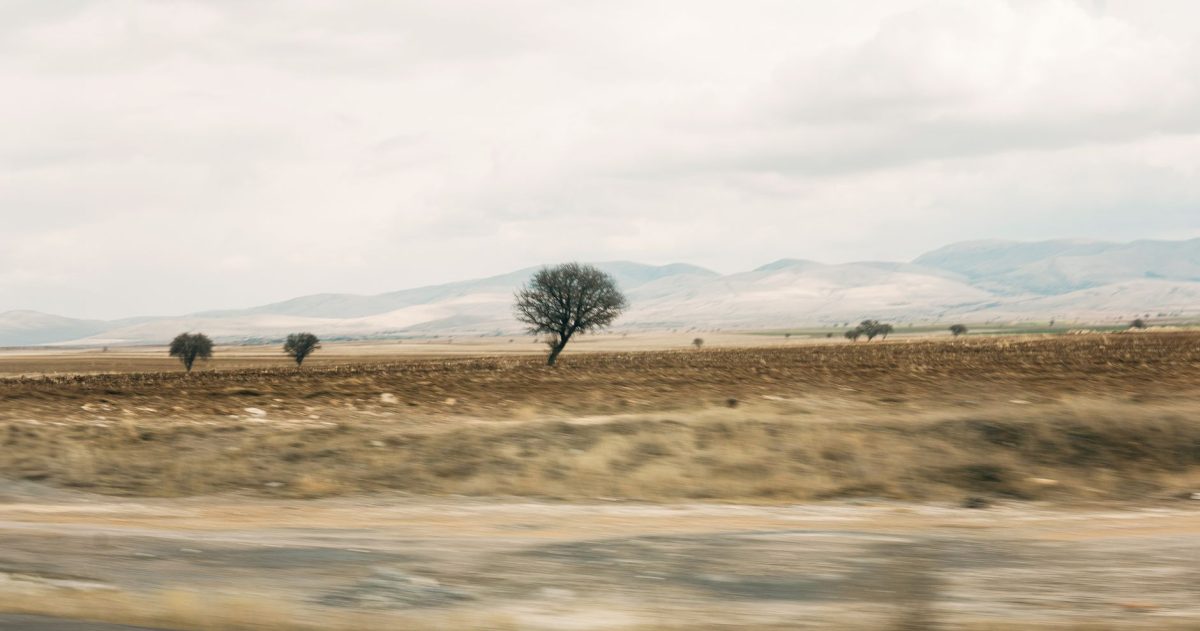 Why England's Drought Is Going Viral Right Now — And What It Really Means —