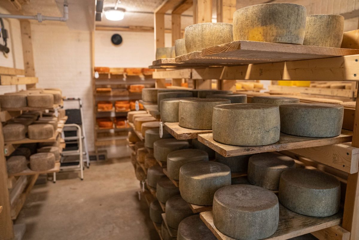 Italy's 'Cheese Banks' Strain Under Extreme Heat Amid Climate-Controlled Parmigiano Reggiano Vault Crisis