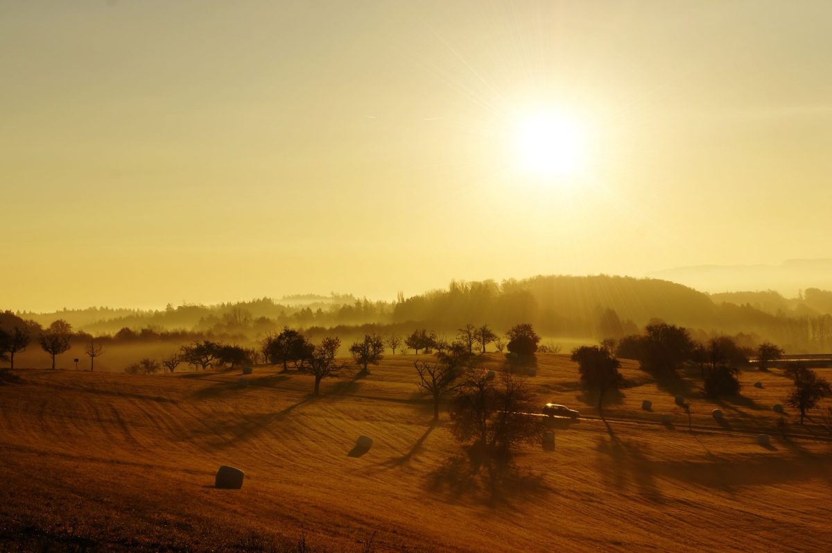 UK Set for Warmest Summer on Record, Met Office Warns of Upcoming Heatwave
