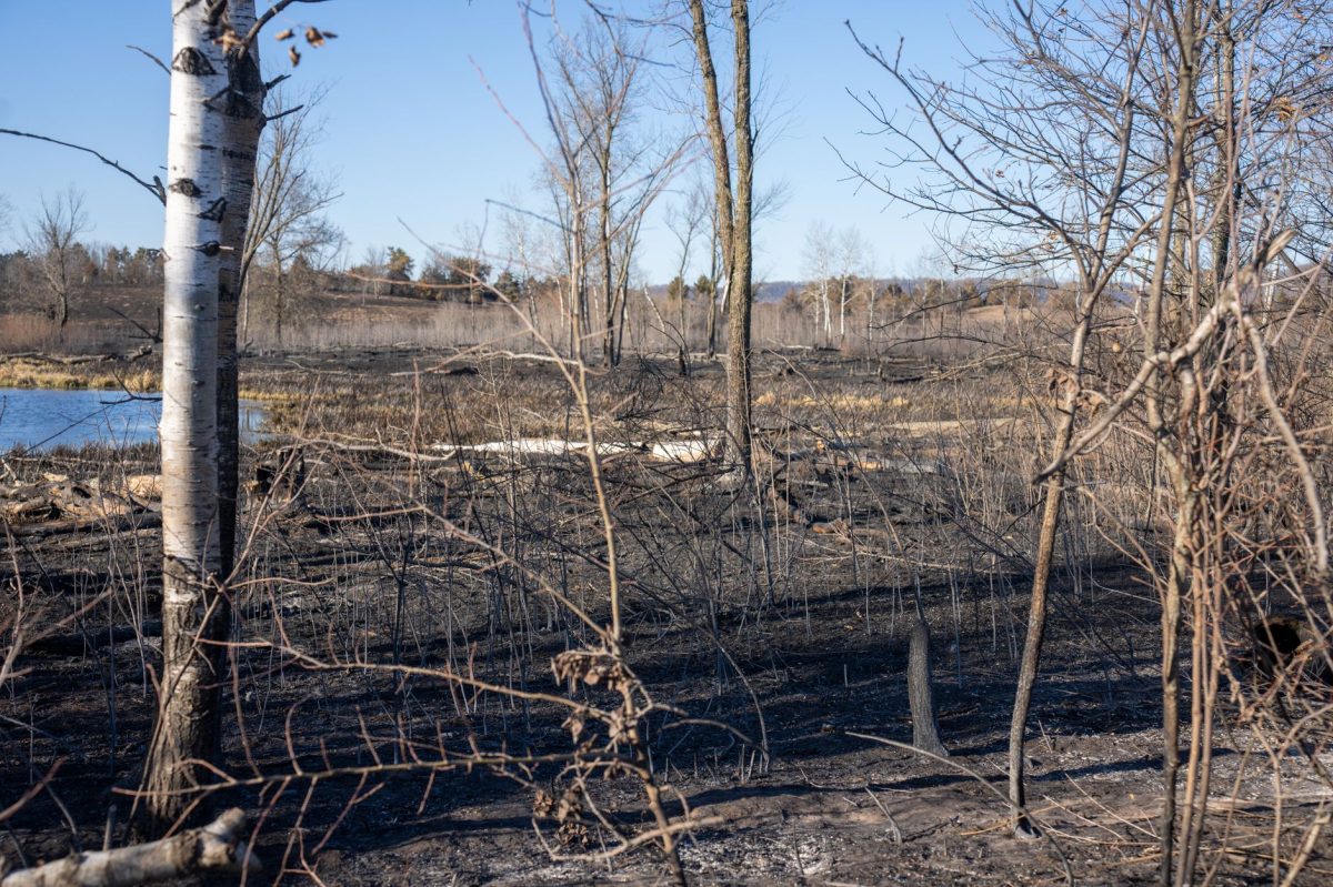 Belgian Wildfire Doubles in Size on Third Day, Engulfs Nature Reserve