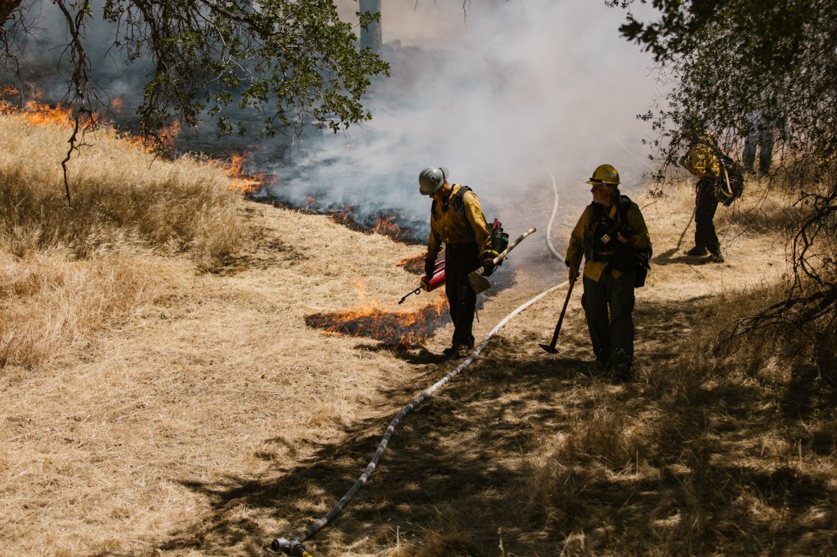 Turning: Two Fires on Salamina Island, Greece, Leave Two Dead and Hundreds Evacuated